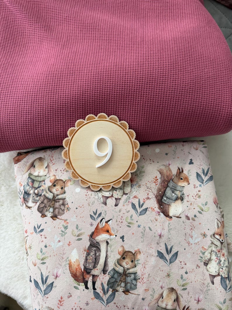 Puede incluir: Un n&uacute;mero nueve de madera con borde festoneado se encuentra sobre una tela rosa con estampado de animales del bosque. La tela es de color rosa claro con ilustraciones de zorros, ardillas y conejos con abrigos.