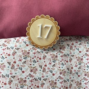 Puede incluir: Un n&uacute;mero 17 de madera, con un borde festoneado, se encuentra sobre una tela floral y una tela rosa texturizada. El n&uacute;mero est&aacute; en una fuente blanca y limpia. La tela floral tiene un fondo blanco con flores rosas y marrones.