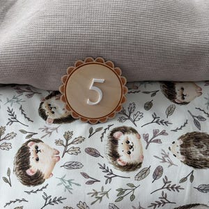 Puede incluir: Un n&uacute;mero cinco de madera con borde festoneado se encuentra sobre una tela estampada con erizos y hojas. Un tejido texturizado de color beige claro est&aacute; en el fondo.