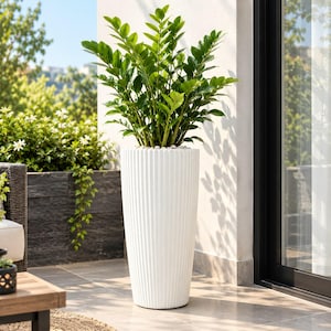 May include: A tall, white, cylindrical planter with a vertical ribbed texture, containing a lush green Zamioculcas zamiifolia plant. The top of the soil is covered with small white decorative stones, creating a clean and bright appearance.