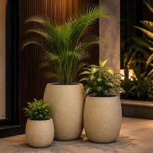 Puede incluir: Tres maceteros cilíndricos con un acabado texturizado de color beige claro similar a la piedra, dispuestos a diferentes alturas. Cada maceta contiene una planta verde, la más alta con una planta tipo palmera y las otras con follaje más pequeño.