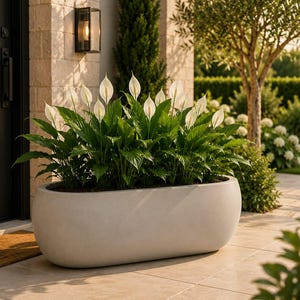 Handgefertigter Fiberglas Übertopf | Leichter unzerbrechlicher Blumentopf | Terrasse Veranda Dekor