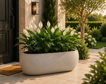 May include: A large, oval-shaped, light gray concrete planter filled with lush green peace lily plants. The plants feature numerous upright, white, spade-shaped spathes and broad, pointed, dark green leaves, creating a dense, vibrant display.