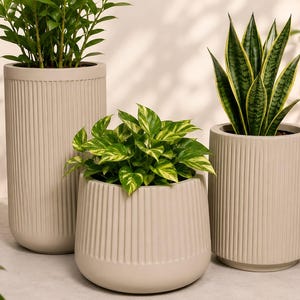 Puede incluir: Tres maceteros cilíndricos en tono beige claro, cada uno con una textura acanalada vertical. Los maceteros varían en altura y anchura, con un recipiente alto, uno mediano y uno corto y ancho, cada uno conteniendo una planta verde diferente.