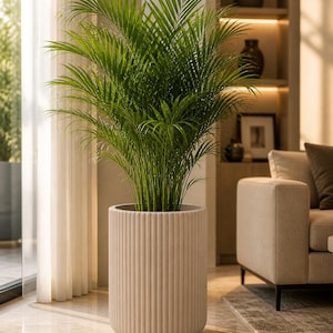 Maceta moderna de FRP acanalada – Maceta grande minimalista para interiores, contenedor de plantas irrompible