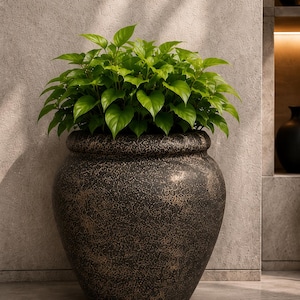 Large Surahi FRP Planter | Textured Black Indoor Outdoor Garden Pot