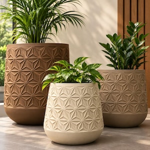 Peut inclure: Trois pots de fleurs arrondis avec un motif d'étoiles géométriques en relief. Le plus grand est marron, le moyen est crème et le plus petit est beige, chacun contenant une plante verte au feuillage luxuriant.