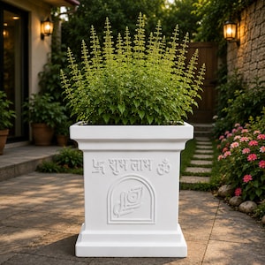 Vit fiber Tulsi-planter | Helig basilika-trädgårdskruka med Om-design
