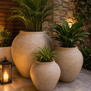 Puede incluir: Tres maceteros grandes, redondeados y de color beige con un acabado texturizado similar a la piedra. Cada macetero contiene una planta verde diferente, incluyendo una palmera alta, una planta puntiaguda y una planta de hojas sobre un suelo de piedra.