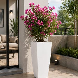 Maceta rectangular alta de fibra / Maceta moderna para plantas de interior y exterior.