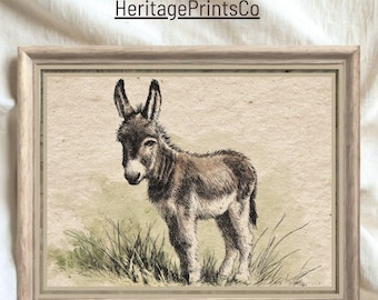 aquarelle vintage bébé âne | Décoration de chambre de ferme (téléchargement numérique)