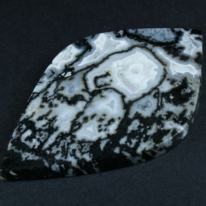 Indonesische versteinerte Holz Designer Cabochon