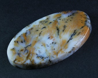 Gorgeous Designer Cabochon of Nipomo Sagenite Agate