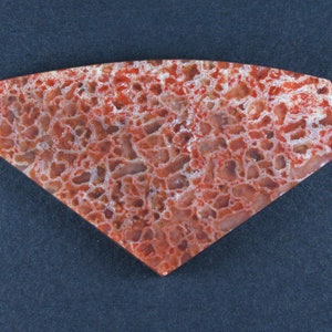 Beautiful Agatized Dino Bone Cabochon- Red and Pink