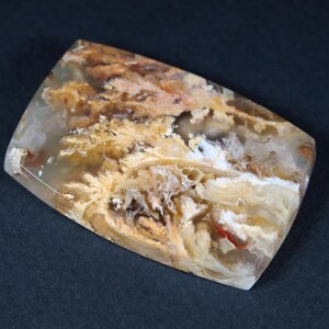 Könnte beinhalten: Ein großer, rechteckiger Achat-Cabochon mit einem weißen, braunen und orangefarbenen Muster. Der Achat hat ein einzigartiges, dendritisches Muster.