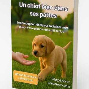 Może przedstawiać: Okładka książki z złotym szczeniakiem labradora na trawie. Tytuł w języku francuskim brzmi "Un chiot bien dans ses pattes". Tekst jest po francusku. Ręka wyciągnięta w stronę szczeniaka. Zawiera ofertę bonusową.