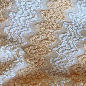May include: Close-up of a textured fabric with a repeating pattern. The design features raised, looped elements in white and a light beige color, creating a tactile, three-dimensional effect. The background is a soft, neutral beige.