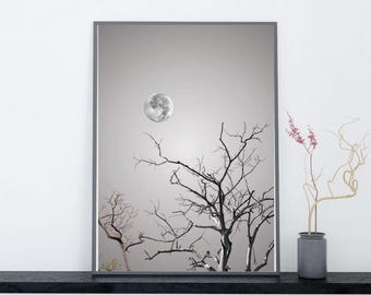 May include: A framed print featuring a full moon in a gray sky, with silhouetted bare trees in the foreground. The artwork is displayed on a black shelf, with a vase of pink flowers and decorative branches to the right.