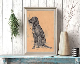 Black Labrador Art Print, Vintage Dog Painting, Antique Animal Portrait, Dog Sketch, Farmhouse Painting, Printable Art