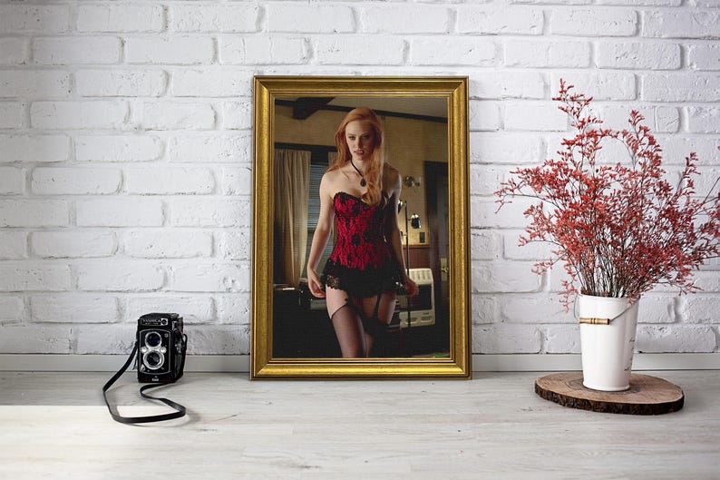 May include: A framed image of a woman in a red and black corset, stockings, and garter. A vintage black camera with a strap is in front of the frame. A white bucket with red branches sits on a wooden base.