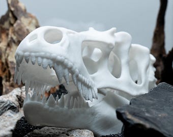 Escondite de calavera de dinosaurio para acuario: refugio para pecera inspirado en fósiles, decoración de cueva impresa en 3D para camarones, reptiles y paisajismo acuático natural.