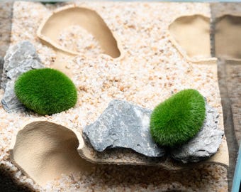 Aquarium Höhle Dekor rechtwinklig Triple Öffnungen Fish Tank Shelter Aquascape Versteck Garnelen Höhle Zucht Pleco Buntbarsch Natürliche Dekoration