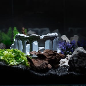 Roman Colosseum Aquarium Decor 3D Printed Ancient Ruins Fish Tank ...