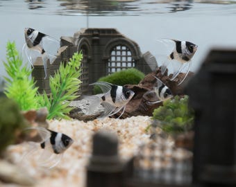 壊れた壁の水槽装飾 3Dプリント PLA 遺跡オーナメント 古代の城スタイル 水槽装飾 ミニアクアスケープピース カスタムカラー