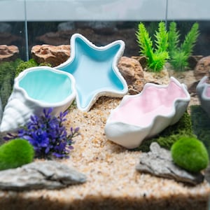 May include: A display of ceramic bowls in a fish tank, shaped like a starfish, a seashell, and a clam shell. The bowls are painted in pastel shades of blue and pink, with white edging. The tank contains sand, rocks, and artificial plants for decoration.