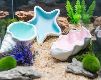 Oceaanthema aquarium decorset 3D-geprinte zeester schelp en schelpornamenten voor aquarium of terrarium mariene stijl bureaudecoratie cadeau