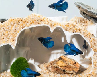 Torre de escalada para reptiles impresa en 3D, estilo roca natural, decoración de terrario, hábitat de varios niveles para gecko leopardo, gecko crestado y lagarto pequeño.