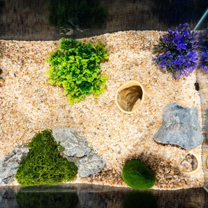 Visual Reference: 3D Printed Aquarium Tunnel Decor Fish Cave Hideout Aquascape Sand
