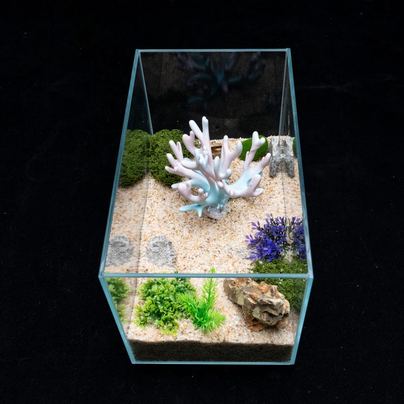 Gallery image with a fresh perspective