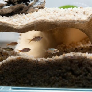 Aquarium Cave Decor Right Angle Cave Shelter Triple Openings Fish Tank Hideout Natural Stone Style Habitat Rock Aquascape Shrimp Cichlid