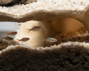 Cueva decorativa para acuario, refugio en ángulo recto con triple abertura, escondite para peces, estilo piedra natural, roca para hábitat acuático, gambas, cíclidos.