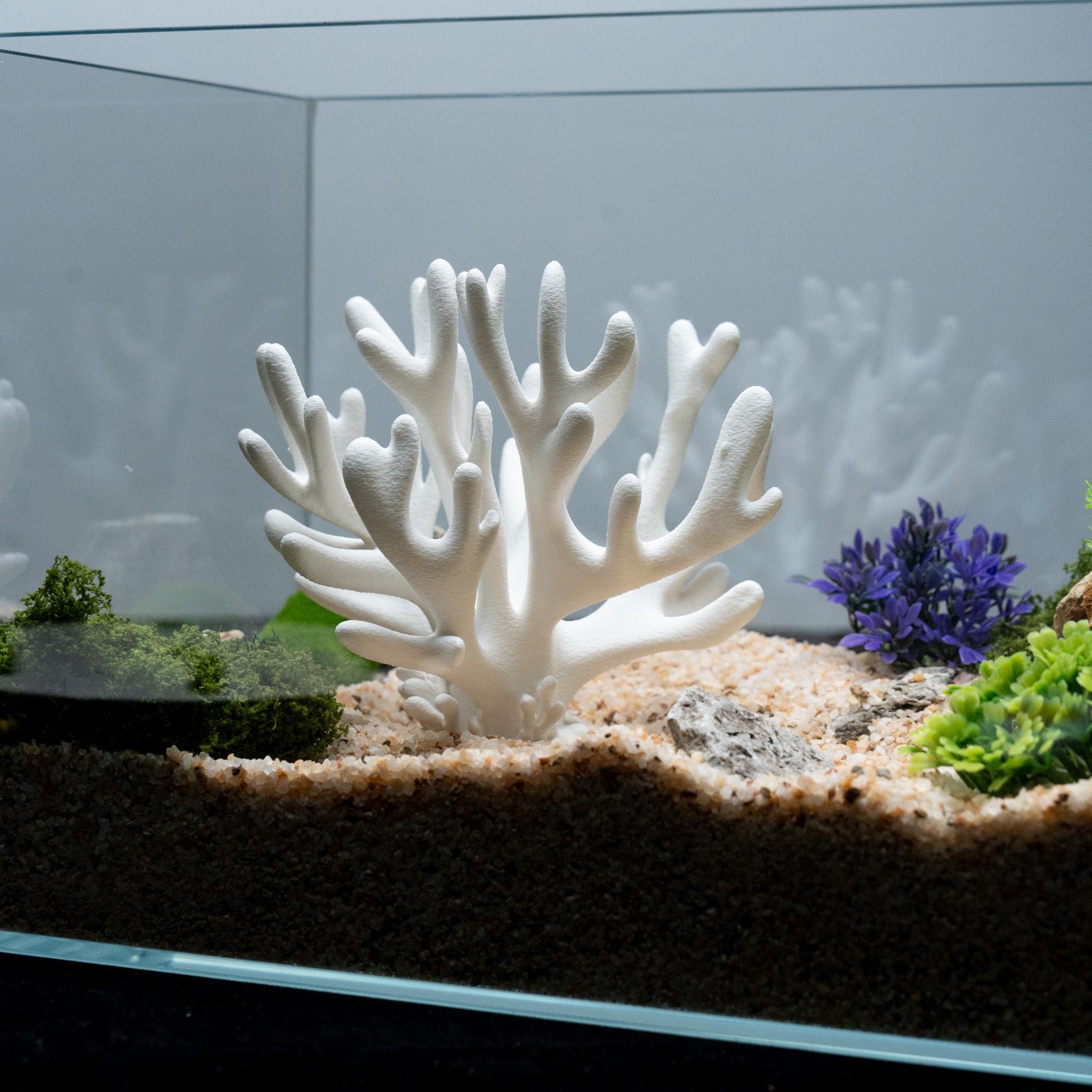 Curated visual reference: 3D Printed Coral Reef Aquarium Decor Gift Fish Tank Ornament Photo Inspiration