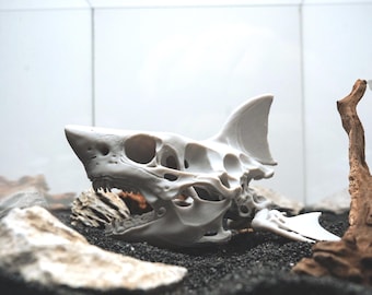 Decoración de acuario con calavera de tiburón impresa en 3D, cueva de fósiles, escondite, pecera, paisajismo acuático, terrario marino, configuración de reptiles, regalo único para acuario