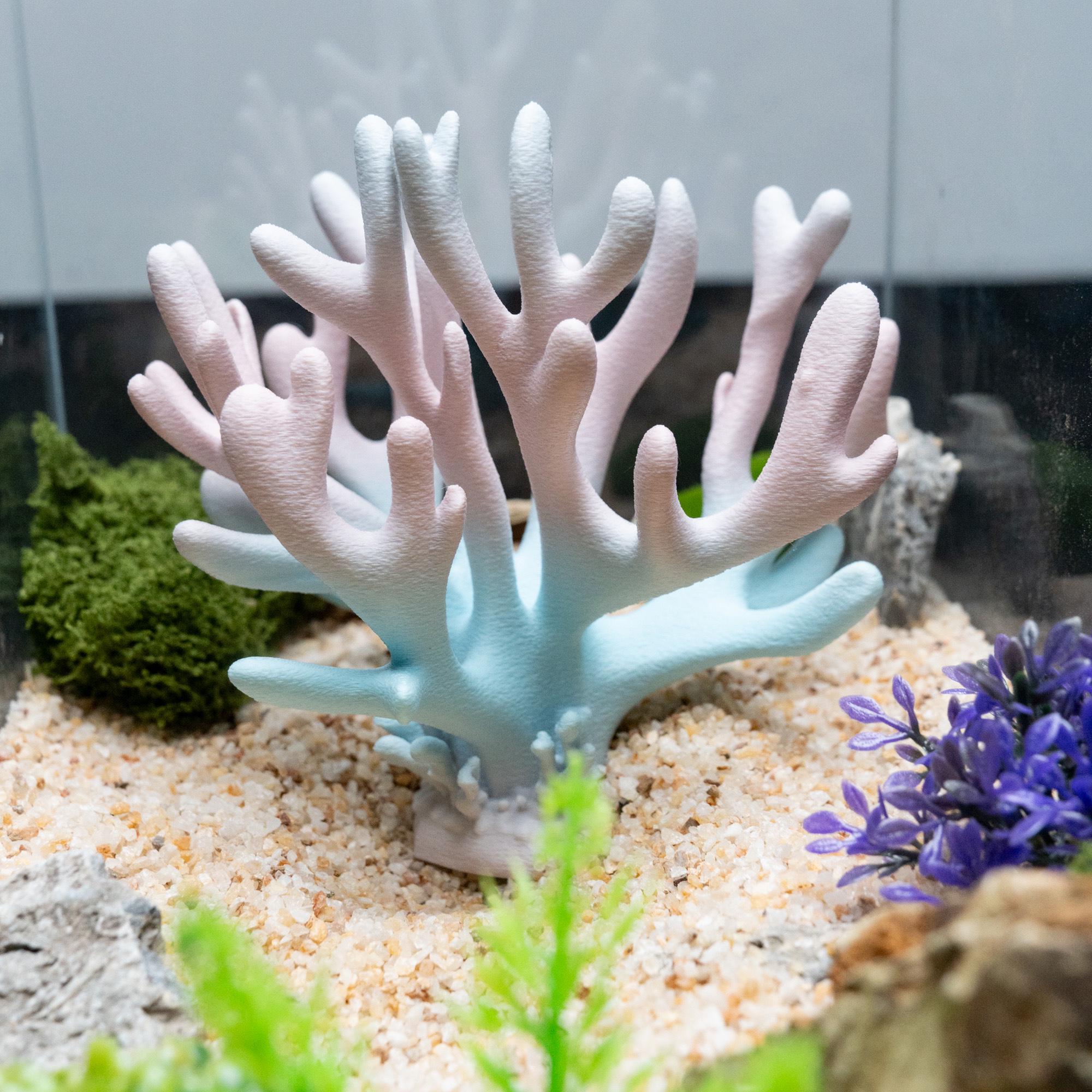 3D Printed Coral Reef Aquarium Decor Gift Fish Tank Ornament Betta