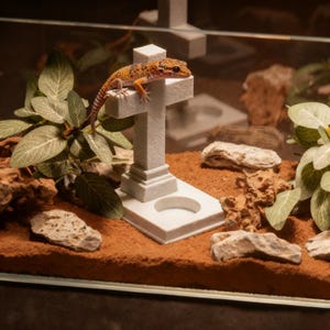 May include: A leopard gecko perched on a decorative, light gray cross structure inside a terrarium. The terrarium contains brown substrate, rocks, and green plants. The gecko has orange and yellow markings.