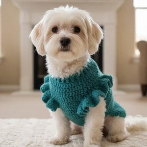 May include: A small, white dog wearing a teal blue crochet sweater with ruffled sleeves. The dog is sitting on a cream-colored rug in front of a fireplace. The sweater is a vibrant teal color.