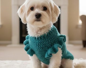May include: A small, white dog wearing a teal blue crochet sweater with ruffled sleeves. The dog is sitting on a cream-colored rug in front of a fireplace. The sweater is a vibrant teal color.
