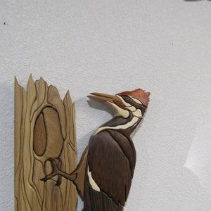 WOODPECKER, PILEATED II, Intarsia wood carved by Rakowoods, price reduced,  cabin gift, housewarming and beautiful  gift for a bird lover