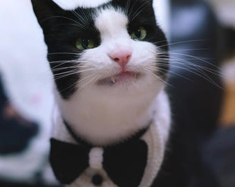 Cat Tuxedo Crochet Bib: Bow Tie Kitty Bandana, Pet Wedding Costume