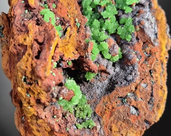 Drusa de cuproadamita neón de alta calidad y extraña. Cristales verde neón de coleccionistas sobre geoda de limonita naranja. Mina Ojuela, Mapimí, México.