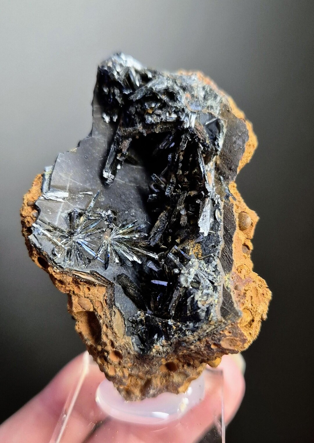 Rare Black Blue Vivianite in Limonite Geode. Ukraine - Etsy Australia