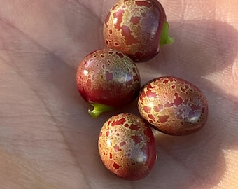 Op de afbeelding: Vier ronde, roodbruine zaden met een gespikkeld, goudkleurig patroon worden getoond. Elke zaad heeft een kleine, groene spruit. De zaden worden in een open handpalm gehouden, waarbij de textuur van de huid zichtbaar is.