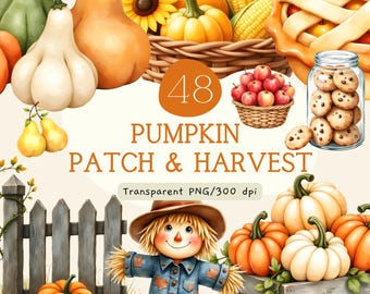 Pacchetto di clipart di zucche, acquerello autunnale a tema raccolto PNG, baby shower a tema zucca, primo compleanno, decorazioni per il Ringraziamento, uso commerciale