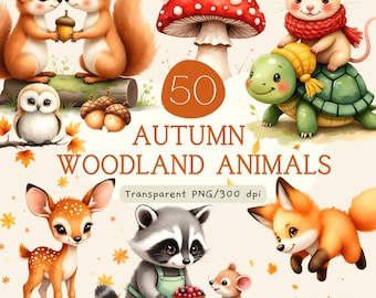 Pacchetto di clipart di animali del bosco autunnali, animali della foresta ad acquerello in formato PNG, volpe, riccio, gufo, baby shower, decorazioni per la cameretta, uso commerciale