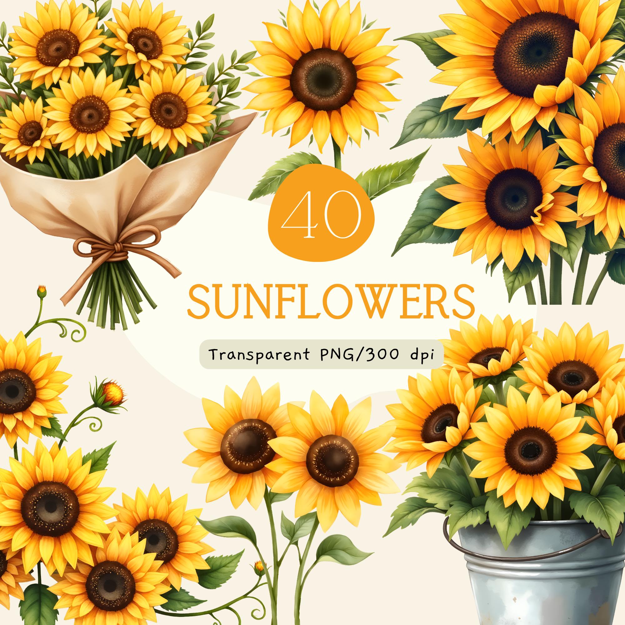 Watercolor Sunflowers Clipart Bundle, Floral PNG Sublimation, Sunflower ...