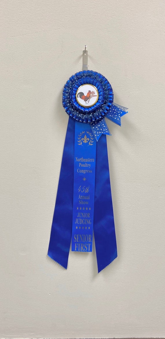 Amscan Winner Pin On Rosette Award Ribbons 6 Blue Pack Of 12 Ribbons -  Office Depot